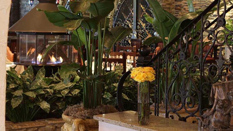 Main floor live plant garden with circular fireplace and wine cellar in background